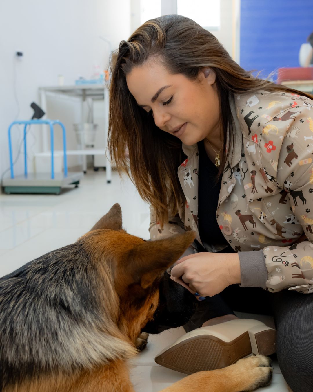 Dra. Danielle durante atendimento veterinário